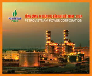 tct-dien-luc-dau-khi-viet-nam-ctcp
