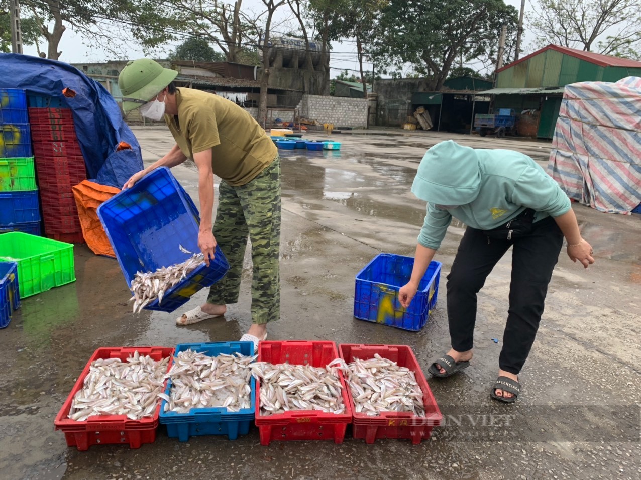 Nghệ An chi hơn 13 tỷ đồng hỗ trợ chủ tàu cá vượt khó vươn khơi