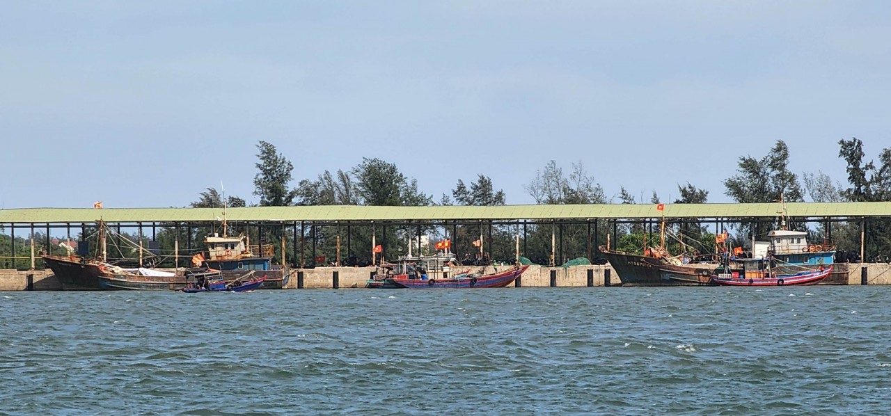 Bình Định hỗ trợ hơn 73 tỷ đồng cho tàu đánh bắt cá xa bờ vươn khơi bám biển