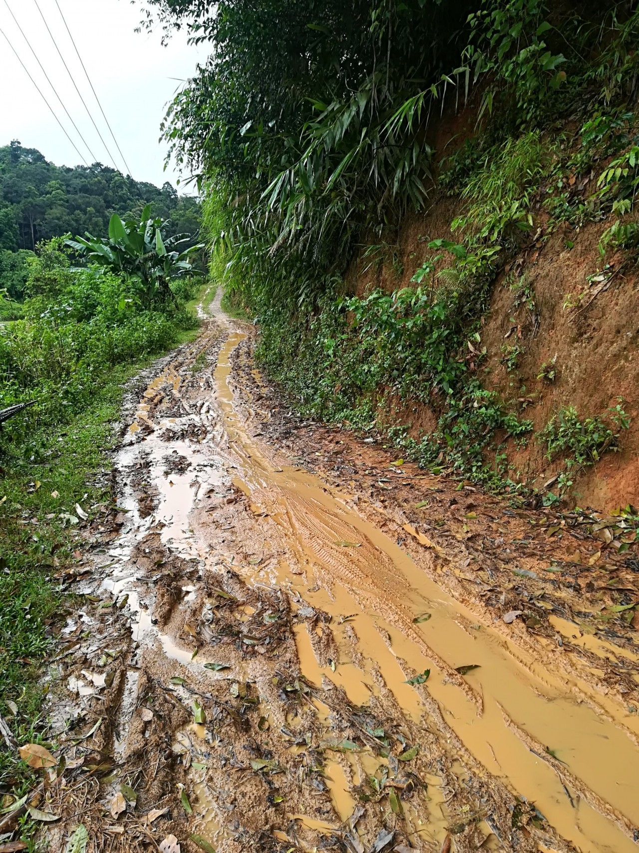 Thay màu con đường tới bản Pú Sung