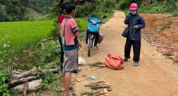 thay mau con duong toi ban pu sung