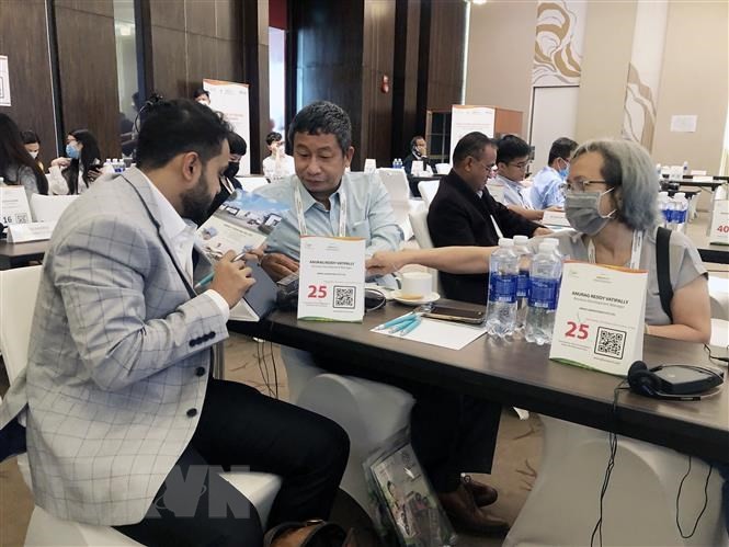 Kết nối doanh nghiệp ngành dược phẩm và y tế Ấn Độ và Việt Nam | Doanh nghiệp | Vietnam+ (VietnamPlus)