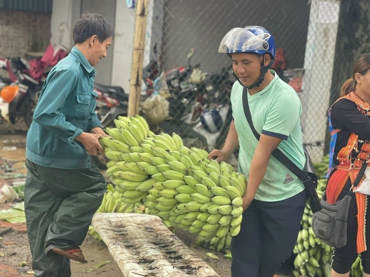 Khó khăn trong việc xuất khẩu chuối sang Trung Quốc