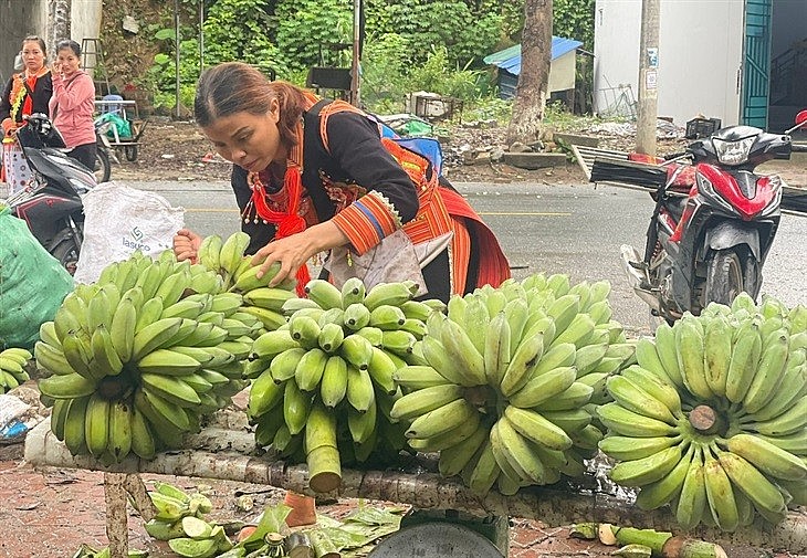 Chị Tẩn Thị Vân loại bỏ những quả chuối xấu trước khi đóng hàng xuất sang Trung Quốc. Ảnh: Bích Nguyên