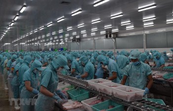Doanh nghiệp Australia kỳ vọng vào cơ hội kinh doanh tại Việt Nam