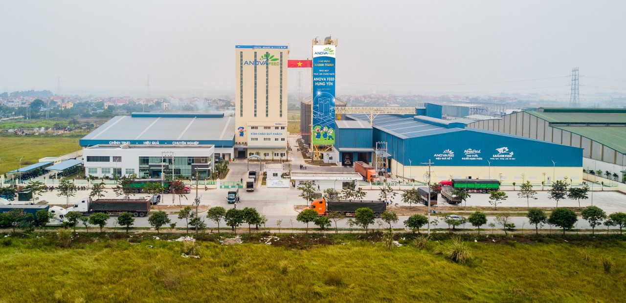 Nova Consumer hợp nhất doanh thu mạng tiêu dùng từ quý 3