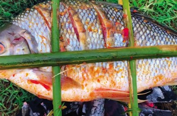 tuc nuong ca te than lang dinh to