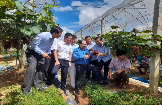 Liên hiệp các tổ chức hữu nghị tỉnh Bắc Giang viếng nghĩa trang liệt sĩ quân tình nguyện Trung Quốc