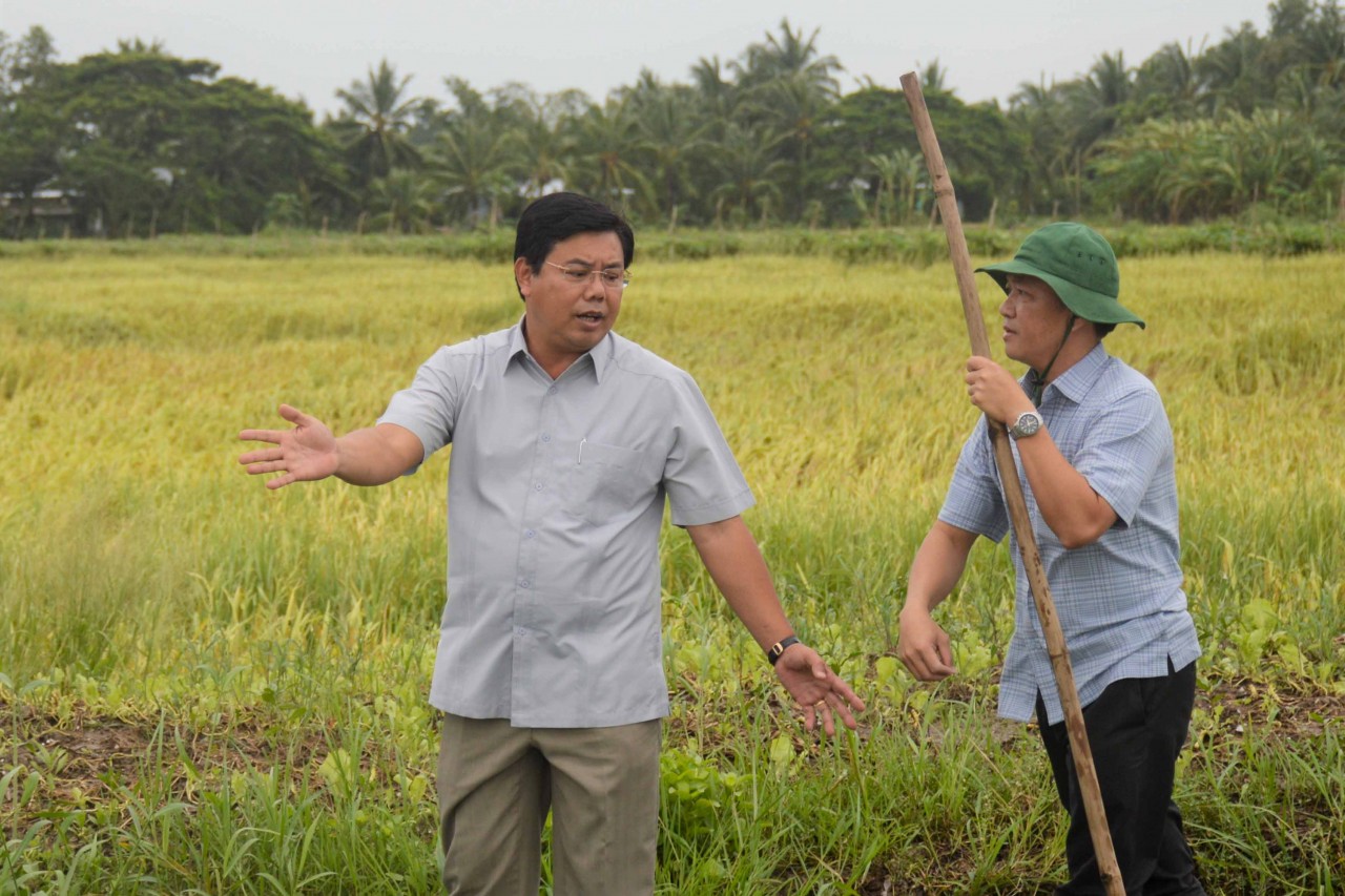 Cà Mau: Hơn 100 m đê biển Tây bị sạt lở