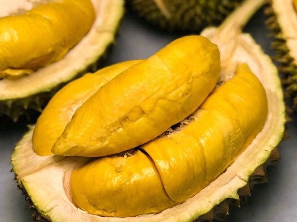 Những vật dụng không được phép mang lên máy bay