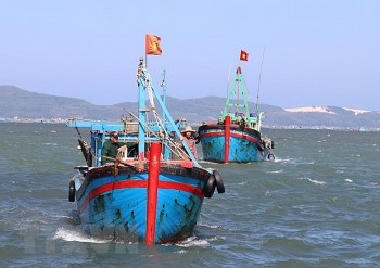 Kiên Giang: Chung tay tháo gỡ "thẻ vàng" của Ủy ban Châu Âu