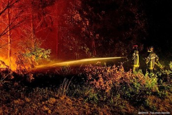 Cháy rừng tại châu Âu được đánh giá nghiêm trọng