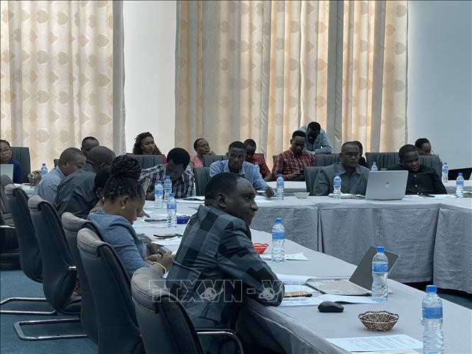 Doanh nghiệp Việt Nam và Tanzania tìm hiểu cơ hội đầu tư song phương | Kinh doanh | Vietnam+ (VietnamPlus)