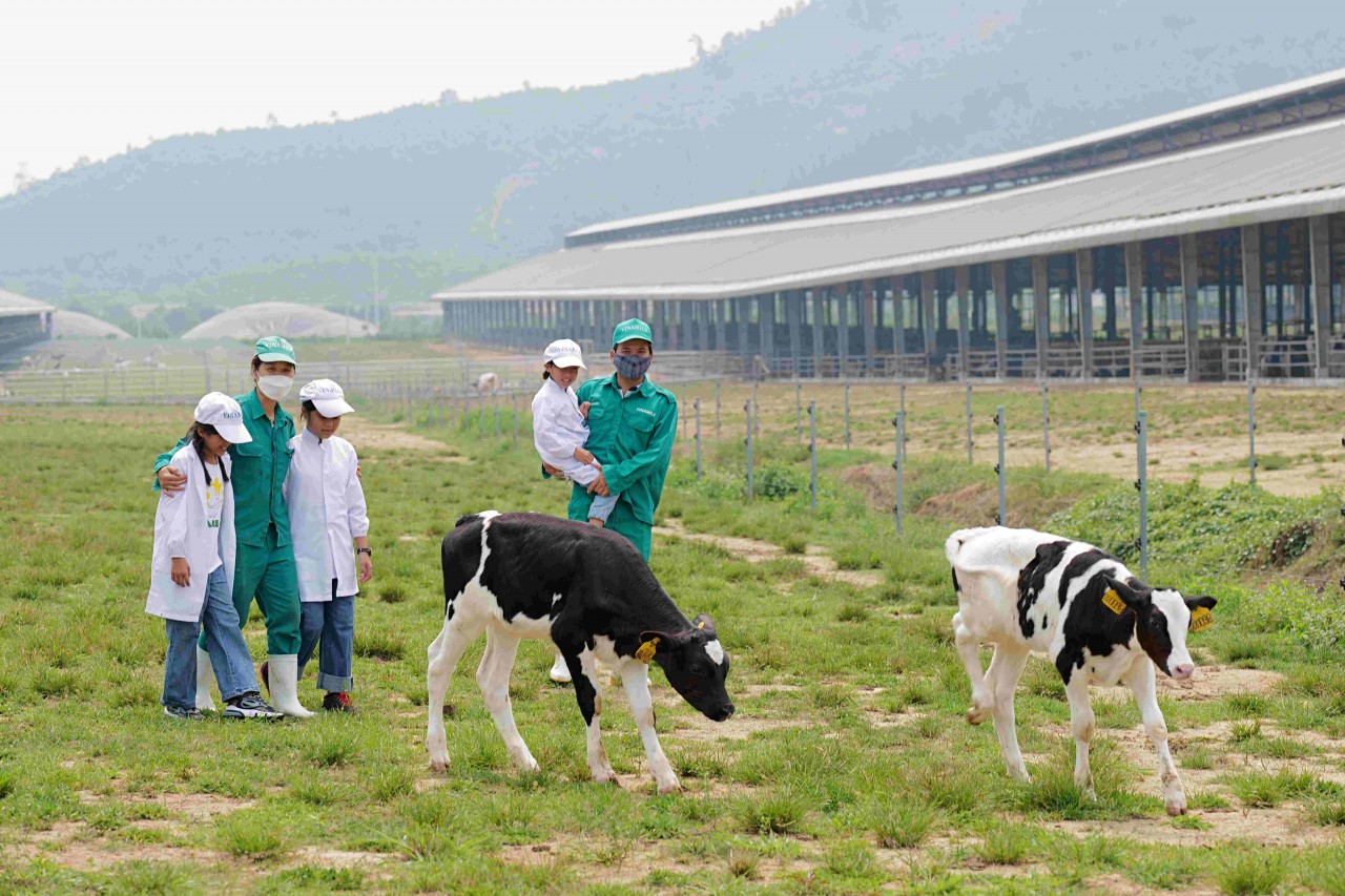 Những khoảnh khắc đẹp trên hành trình của Quỹ sữa Vươn cao Việt Nam năm thứ 15