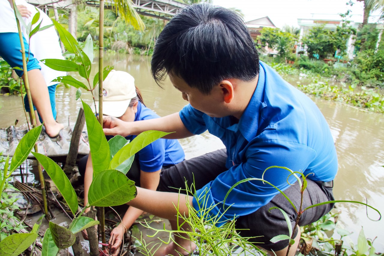 Liên hiệp các tổ chức hữu nghị Cần Thơ: Phối hợp trồng 1.000 cây bần chống sạt lở Liên hiệp các tổ chức hữu nghị Cần Thơ: Phối hợp trồng 1.000 cây bần chống sạt lở