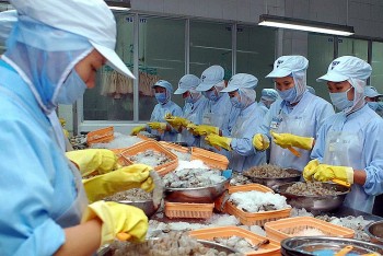 Hợp tác kinh tế Việt Nam – Campuchia ngày càng hiệu quả, thực chất