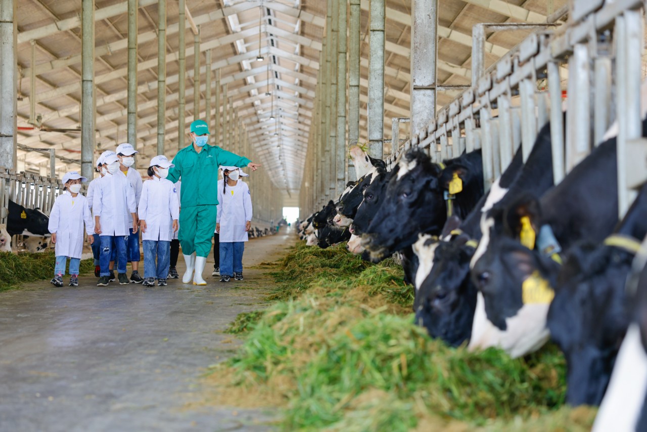 Được đánh giá cao về E-S-G, Vinamilk nhận giải phát triển bền vững 2022