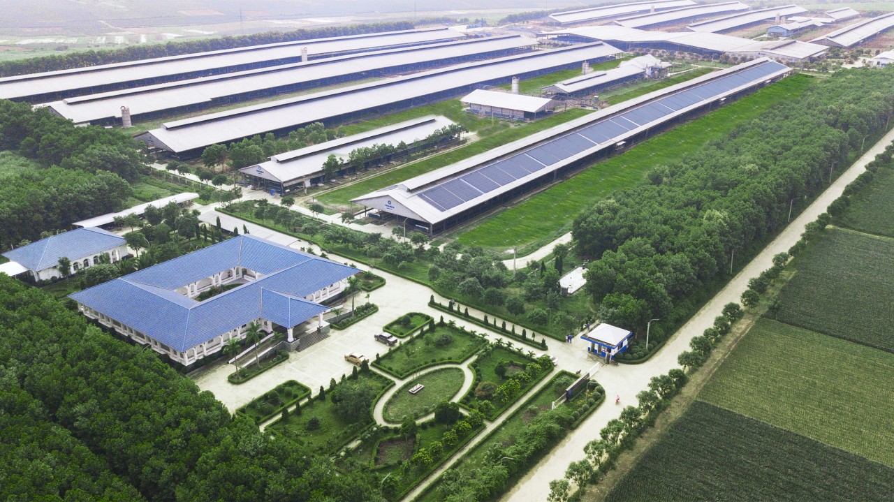 Được đánh giá cao về E-S-G, Vinamilk nhận giải phát triển bền vững 2022