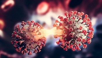 ghi nhan bien the phu ba274 cua omicron tai viet nam