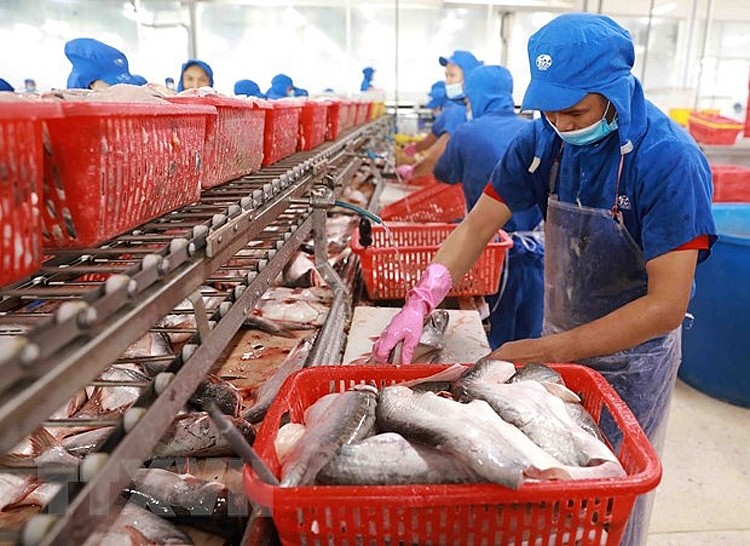 Mexico là quốc gia nhập khẩu cá tra lớn thứ 3 của Việt Nam