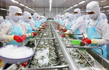 giup doanh nghiep xuat khau giam thieu rui ro truoc bien dong ngoai te