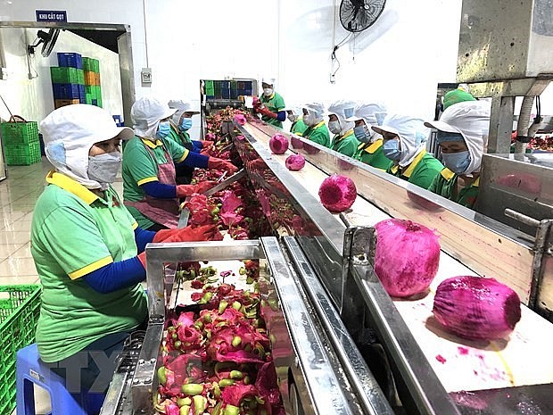 Nhiều triển vọng hợp tác thương mại, đầu tư giữa Việt Nam và Nam Phi | Kinh doanh | Vietnam+ (VietnamPlus)