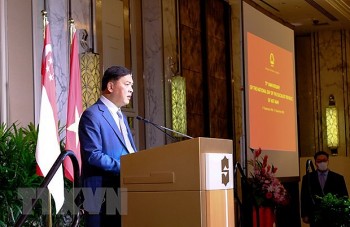 viet nam la doi tac va nguoi ban lon cua singapore trong asean