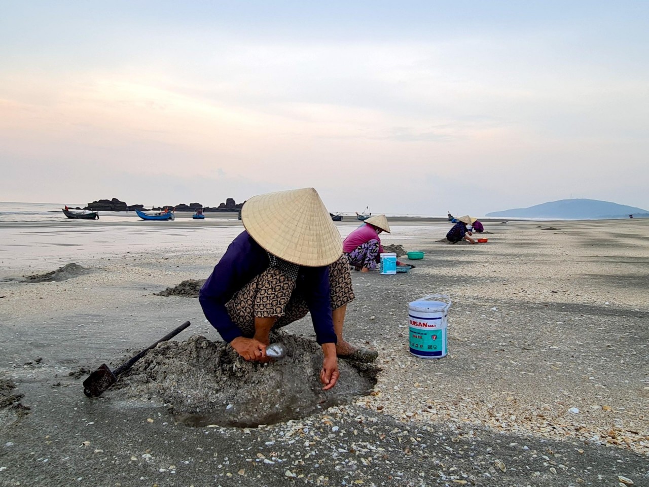 Dung dị vẻ đẹp mưu sinh trên biển Quỳnh