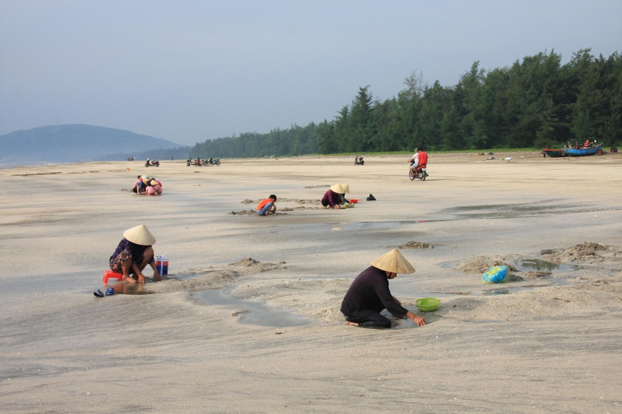 Dung dị vẻ đẹp mưu sinh trên biển Quỳnh