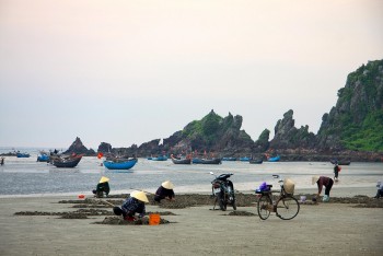 Dung dị vẻ đẹp mưu sinh trên biển Quỳnh
