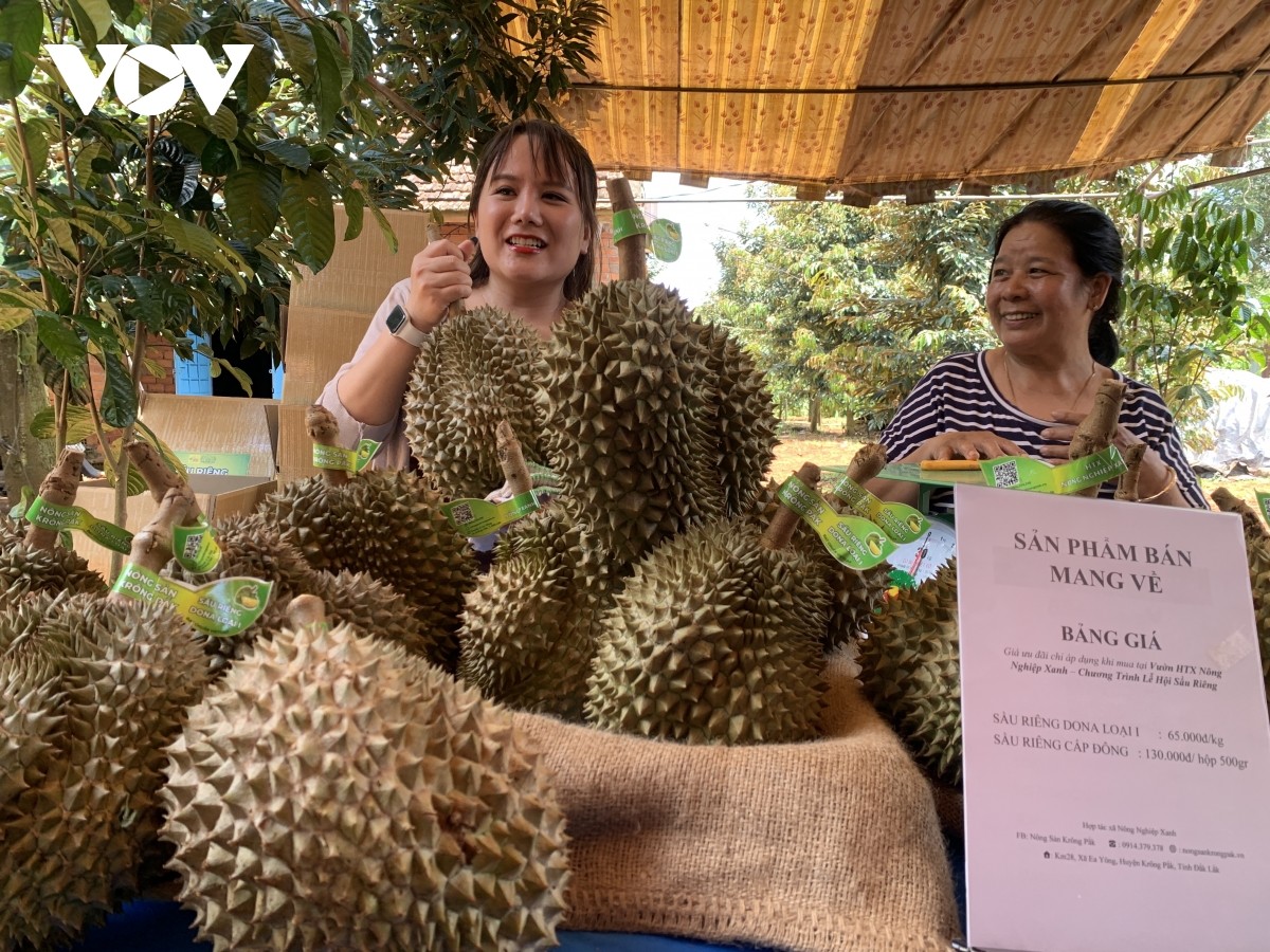 Lễ hội sầu riêng Prông Pắk thu hút người dân và du khách