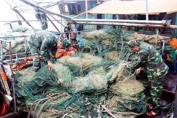 Quảng Bình tăng cường nhiều giải pháp quyết liệt để bảo vệ nguồn lợi thủy sản