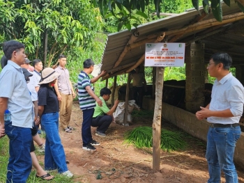 Thay đổi nhận thức và thu nhập cho nông dân vùng dân tộc thiểu số