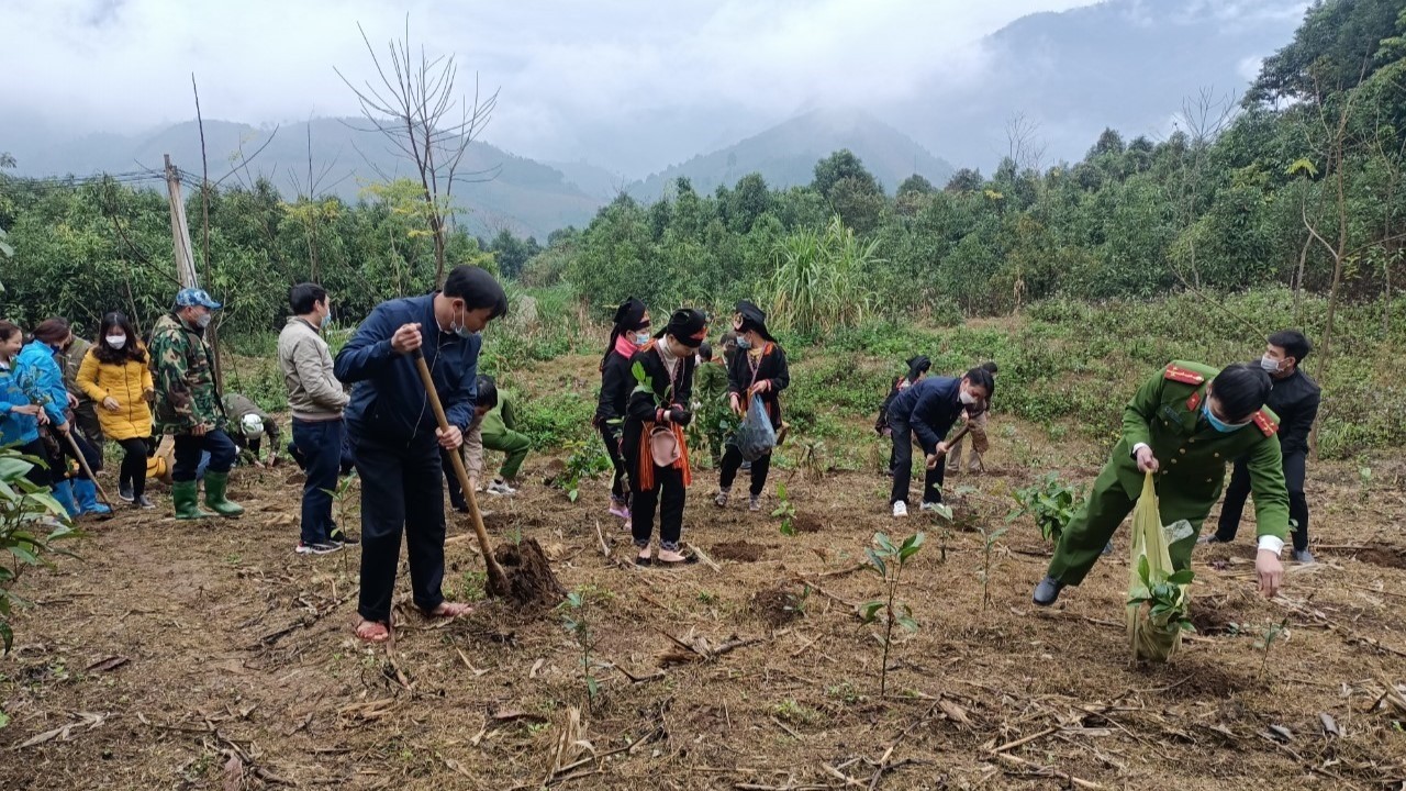 Đời quế, đời người
