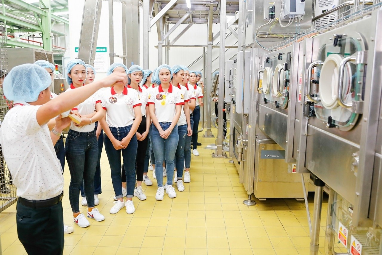 Nửa năm sau ra mắt, sức hút của sữa đậu nành Number 1 Soya Canxi phiên bản tiện lợi bây giờ ra sao?