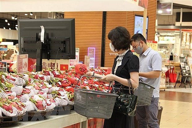 Hợp tác kinh tế Việt Nam-Nhật Bản hướng tới giai đoạn phát triển mới | Kinh doanh | Vietnam+ (VietnamPlus)