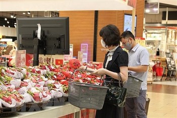 Hợp tác kinh tế Việt Nam-Nhật Bản hướng tới giai đoạn phát triển mới