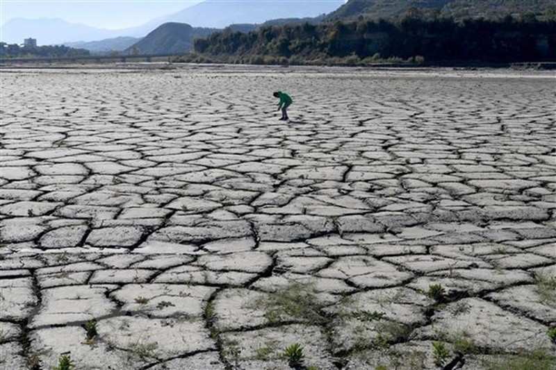 Cảnh khô hạn do nắng nóng kéo dài tại Gramsh (Albania) - (Ảnh: AFP)
