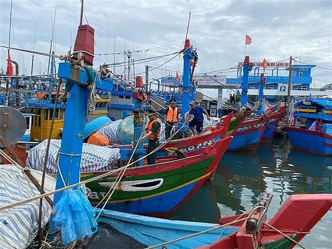 Lực lượng biên phòng Quảng Ngãi giúp ngư dân neo trú tàu thuyền phòng tránh bão những ngày qua. (Ảnh: Đinh Hương/TTXVN)