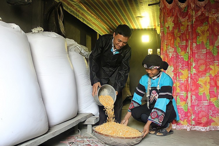 Hoa nở giữa Hoa nở giữa