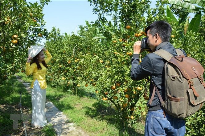 Phát triển vùng Đồng bằng sông Cửu Long: Tăng sức hút cho du lịch | Điểm đến | Vietnam+ (VietnamPlus)