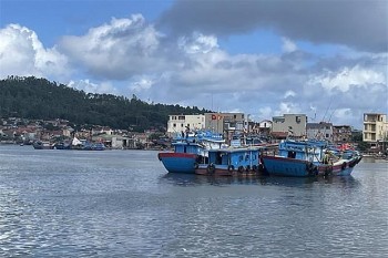 Giá nhiên liệu giảm nhiệt, ngư dân Thanh Hóa ra khơi trở lại