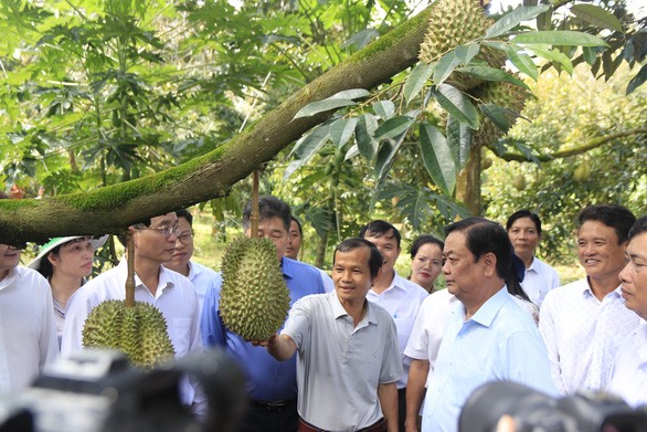 Cần Thơ sẽ xuất khẩu sầu riêng sang Trung Quốc vào năm 2023