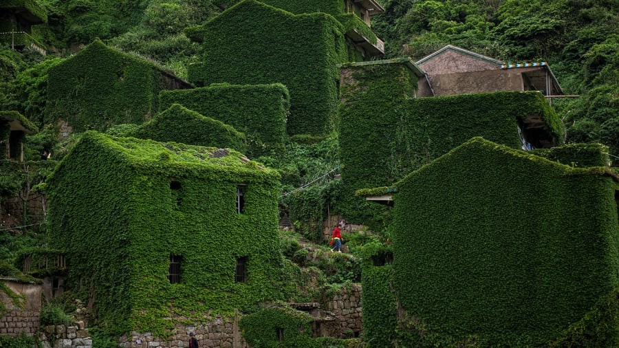 Ngôi làng 
