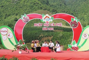 Tăng cường quảng bá, nâng cao giá trị cho sản phẩm cà phê Sơn La
