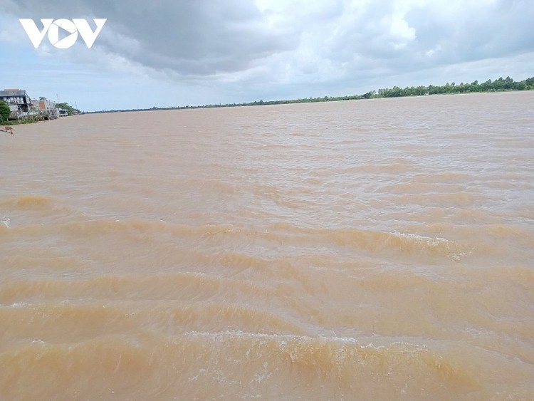 Vùng ĐBSCL có nguy cơ bị ảnh hưởng hơn 53.000 ha sản xuất nông nghiệp do ngập