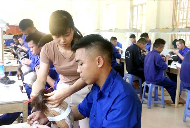 Người cai nghiện ma túy bắt buộc được hỗ trợ học nghề