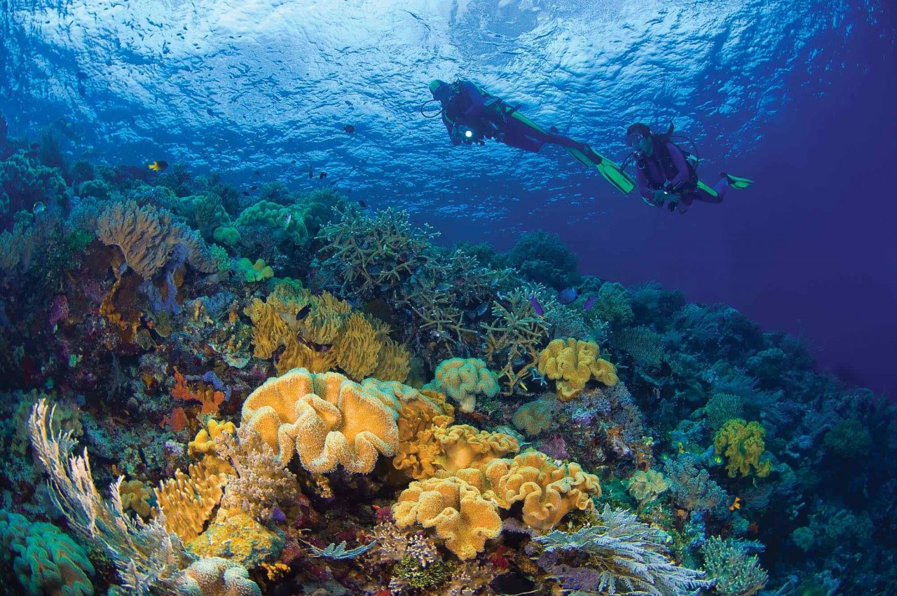 Lặn biển ở Indonesia (Fly and Sea)