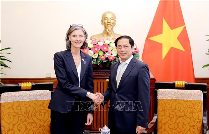 Bộ trưởng Bộ Ngoại giao tiếp Đại diện thường trú UNDP tại Việt Nam