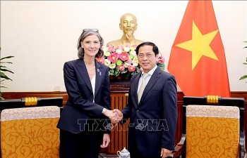 Bộ trưởng Bộ Ngoại giao tiếp Đại diện thường trú UNDP tại Việt Nam